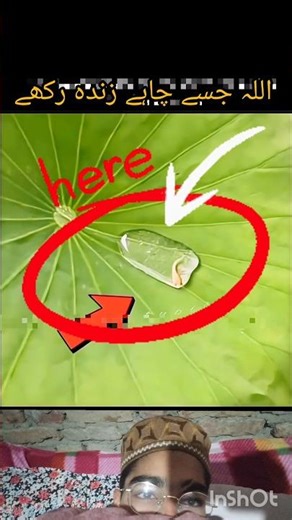 जिसे चाहे अल्लाह जिंदा रखें #islamicvideos #viralvideo