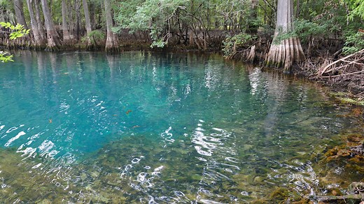 Manatee Springs State Park