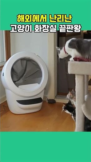 The ultimate cat litter box that's causing a sensation overseas #Cat #AutomaticCatLitterBox