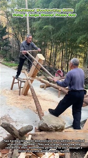 Traditional Woodworking Skills Using A Large Manual Frame Saw