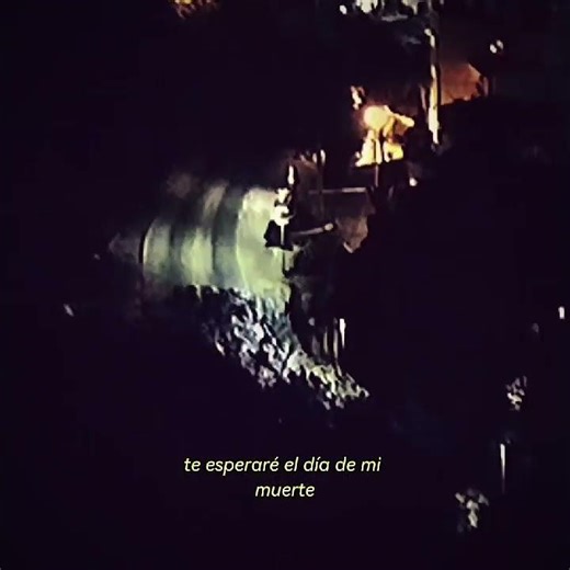 ANSWR - 322 #shorts #music #322 #musica #puertovallarta