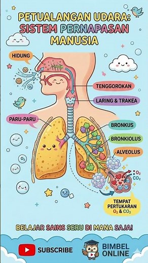 HUMAN RESPIRATORY SYSTEM