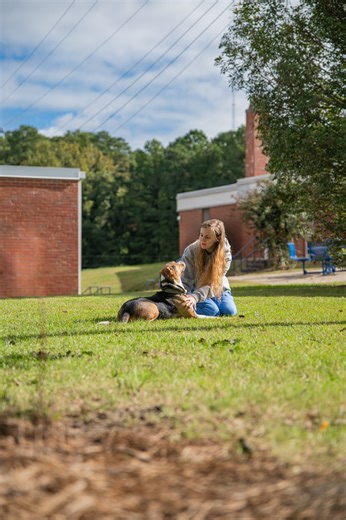 Our Vet Med Tech students get hands-on experience caring for animals right here on campus in our Cougar Pets shelter! 🐾 Every pet receives top-quality care—and they’re all available for adoption. Meet our Pets of the Month, Gumbo and Patsy, and see if Veterinary Medical Technology could be your path with the link in our bio! | Central Carolina Community College