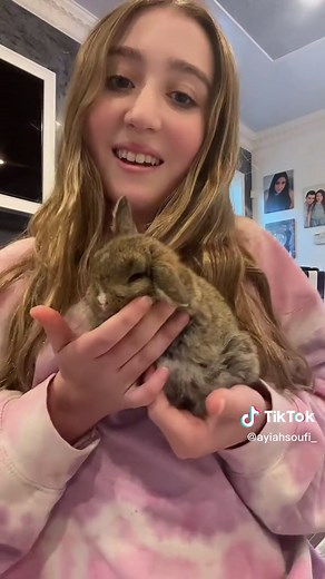 Help Me Choose Names for My Baby Bunnies! | Cute Bunny Names