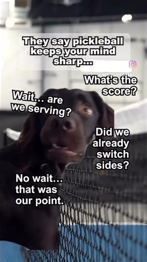 Pickleball Is Just Easy To Play AND That’s It! 🤣