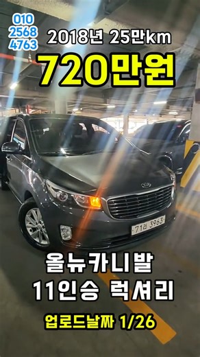 올뉴카니발 11인승 럭셔리 720만원