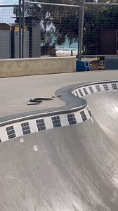 Eastern Brown Snake In The Skate Bowl! Bit of action this morning at Dicky Beach skate park when an Eastern Brown decided to join the kids and “drop into” the bowl! Unfortunately for the brown snake couldnt get out so we came down and relocated him away from the skate park! Call us any time if you need a snake relocated by the professionals. 0409536000 To use this video in a commercial player or in broadcasts, please contact licensing@storyful.com | Sunshine Coast Snake Catchers 24/7