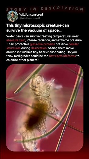 The Indestructible Creature That Can Survive Space