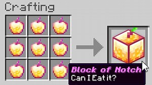 Minecraft, But There Are Custom Blocks…