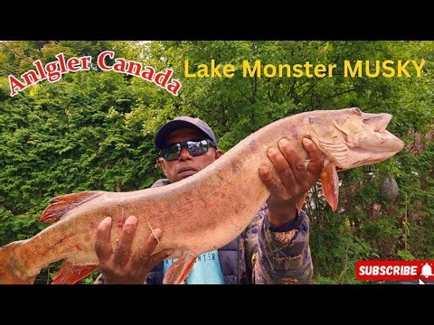 HUGE Musky STRIKE! (You Won't Believe The Size)