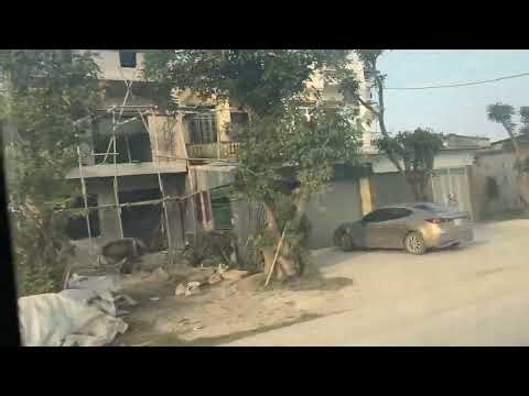 City Life Below the Bus Window 🚍 | Soft Urban Traffic & Calm Night Vibes 🌆