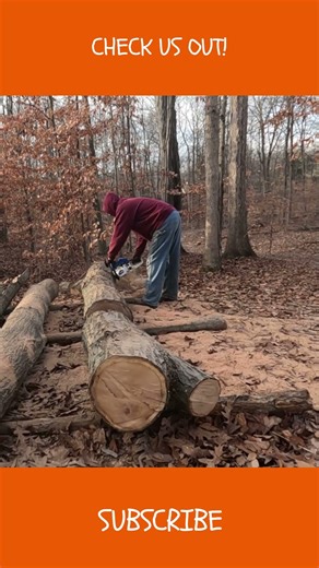 Putting Chinese Chainsaw to Work #firewood #chainsaw #cheap #hardwork #logging #country #chinese