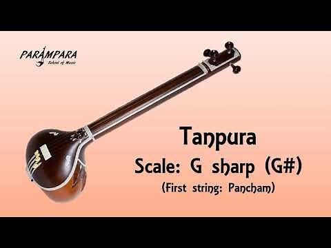 Tanpura G Sharp (G#)