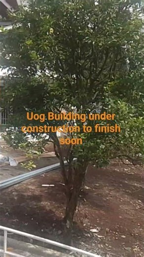 lik² video blo day tasol oo. PNG UOG. Nationbuilder.🤙👑👍