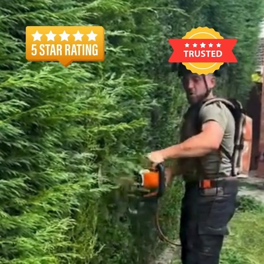  See the Experts in Action!  At Tree Surgeon Hertfordshire Pros,...