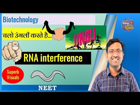 RNA interference/RNA silencing/RNAi mechanism I NEET I Dr Kunal Tatte (KT)