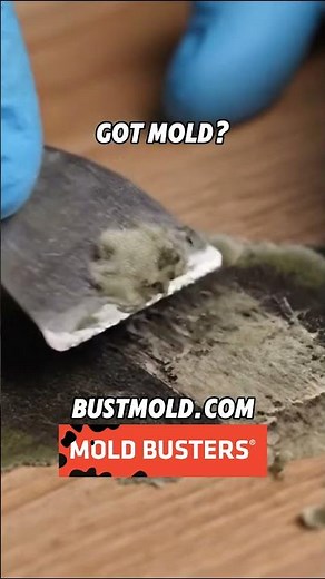Scraping Mold off a Surface ASMR