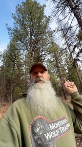 1.3K views · 643 reactions | #trailcamology #trailcamera #gamecamera #wolf #wolftrapper #montanawolves Spy High Mounting System | Paul Antczak | Facebook