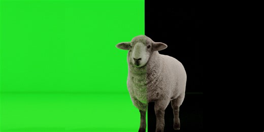 Will AI Be Able to Provide Automated Flawless Background Removal for Film and TV?