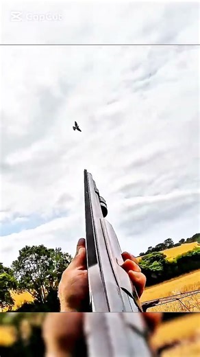 #WildBoar #BoarDocumentary #ForestLife #WildlifeEducation #NatureFacts #AnimalBehavior #EcoSystem #N