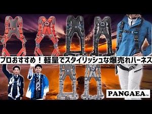大好評のフルハーネスを紹介！決め手は優れたデザイン性と軽さ【墜落制止用器具】