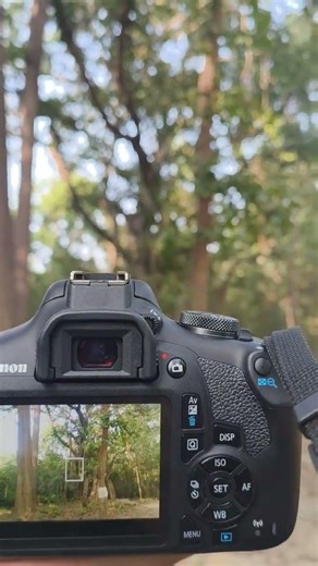 canon maximum blur background kaise kare #shorts #ytshorts #shortsfeed #short