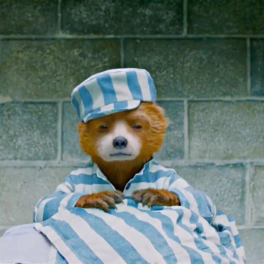 Paddington Bear dyed everyone's clothes a lovely shade of pink. #shorts #paddington #Bear #viral