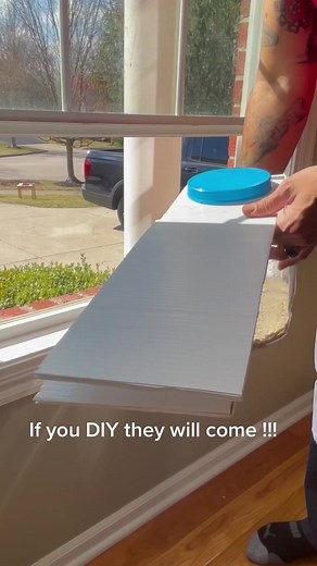 What a fun DIY bird feeder you can stick in the window. Yay for birdwatching from the comfort of your couch 🙌. Check out @super_simple_diy on YouTube for how you can make one too! | 7 Days of Play