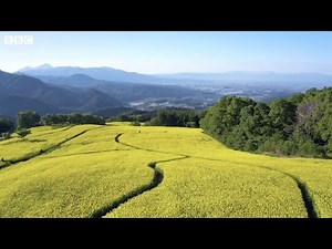 3つの被災……そして復興 東日本大震災・福島原発事故から10年