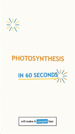 Photosynthesis EXPLAINED in 60 Seconds #photosynthesis #science