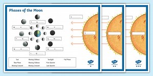 Phases of the Moon Labelling Worksheet