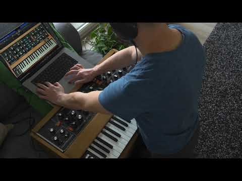 minimoog vs mini v4
