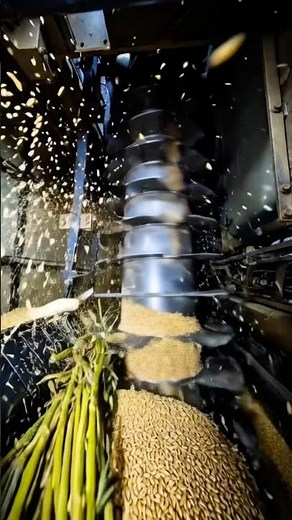 Inside a Combine Harvester: The Harvesting Process Step by Step