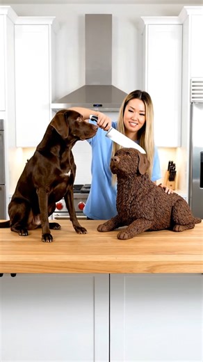 dog cake cutting ASMR #asmr #asmrvideo #asmrsounds #asmreating #satisfyling #relaxing #funny