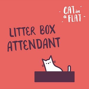 Need a trusted cat sitter? Our cat sitters can’t wait to look after your kitty! | Cat in a Flat