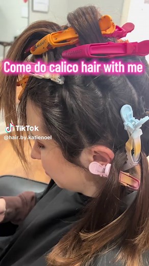 Get Stunning Calico Hair: A Step-by-Step Experience