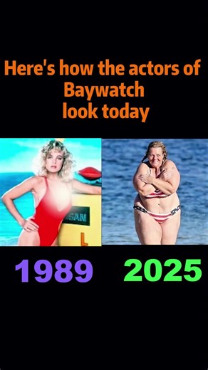 Here’s how the actors of baywatch look today #celebrity #movie #usa #hollywood #celebrities #fyp #tiktoknews #baywatch | Living with Disasters