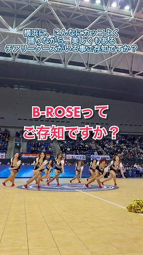 横浜ビーコルセアーズ応援！B-ROSEの魅力