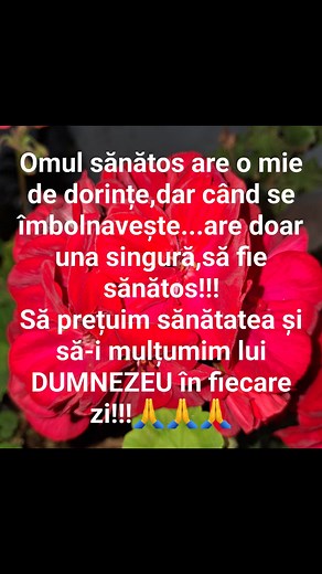 Doamne ajuta pe toată lumea 🙏🙏🙏 | Julia Ghip