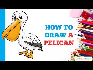 How to Draw a Pelican in a Few Easy Steps: Drawing Tutorial for Beginner Artists