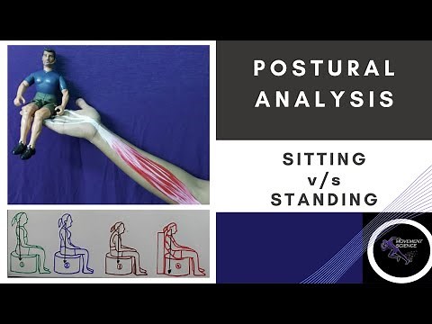 SITTING VS STANDING (Posture Biomechanics)Physiotherapy Tutorial