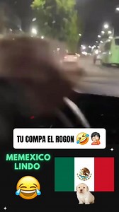 17K views · 321 reactions | Tu compa el rogon 臘藍 | Memexico Lindo | Facebook
