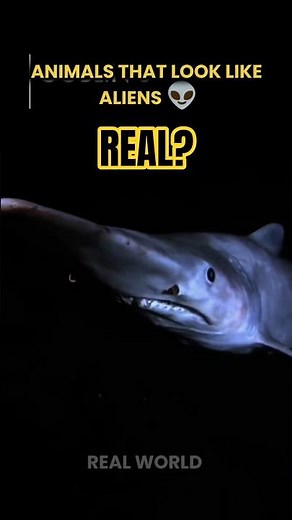 These are the animals that look like aliens 👽🦎..#3 will blow your mind! #WildlifeShorts #AlienAnimal