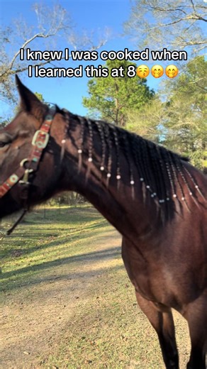 Creative Horse Hairstyle Ideas for TikTok