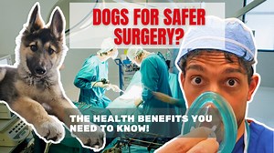 14 reactions | The secret you need to know about dogs: they can help...