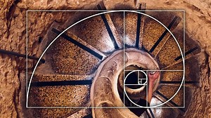 Do you know what the golden ratio is and how you can use it when composing your photos? Matt explains the golden ratio, also known as the golden spiral or the Fibonacci ratio is, and how you can use it to improve your photo compositions. | B&H Photo Video Pro Audio