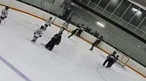 Kids’ hockey game halted as parents brawl in the stands