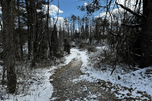 The Little Known Hiking Path in Maryland Is Our Favorite First Hike of the Year