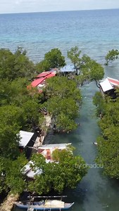 7.8K views · 164 reactions |  Tawog Taloot Argao Cebu Tawog Pagatpatan Hidden Resort #tawogpagatpatanhiddenresort Entrance fee 10pesos | by chadou | Facebook