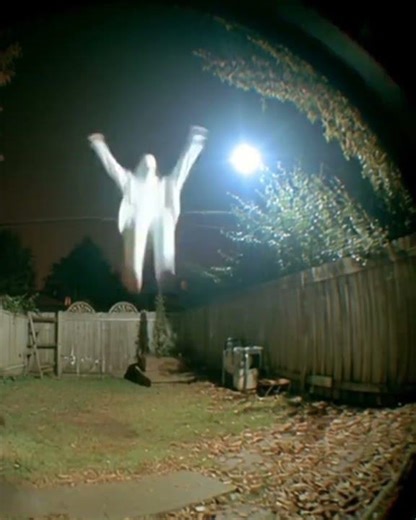 real Space creatures live show on camera,#shorts #creatures